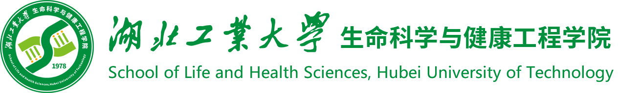 2026世界杯官方合作网站